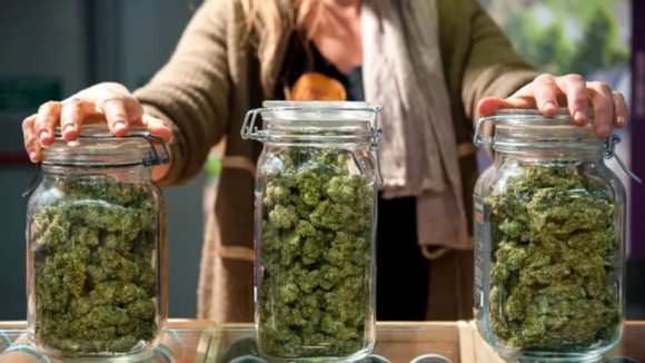 'Critical Threat' to Medical Marijuana Eases Amid Consideration of Nine Cannabis Bills