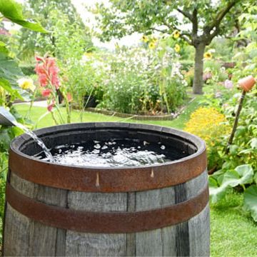 Is It Illegal to Collect Rainwater in Oregon