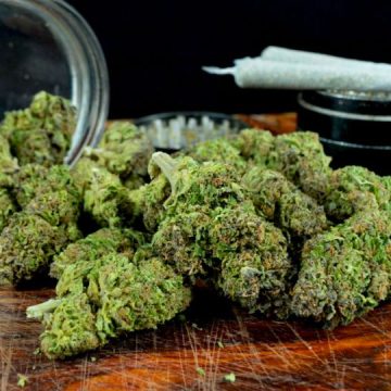 Arizona Cannabis Laws 2024
