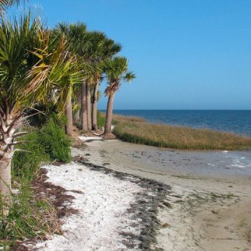 Check This One of the Creepiest Florida Beach in the State