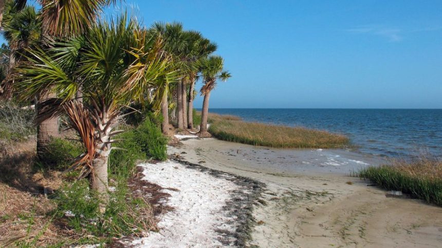 Check This One of the Creepiest Florida Beach in the State