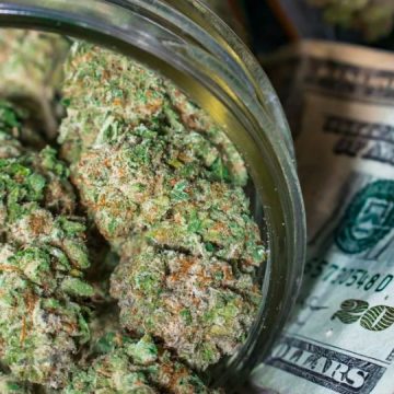 North Carolina City is Making Millions of Tax Revenue from Weed