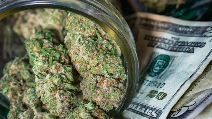 North Carolina City is Making Millions of Tax Revenue from Weed