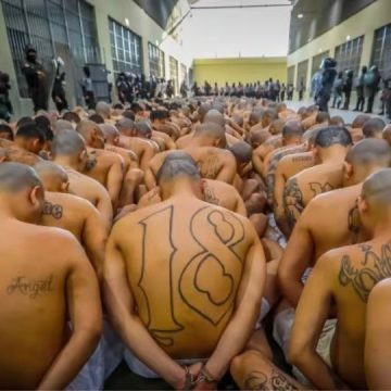 These Most Dangerous Gangs Taking Over Entire California Very Fast