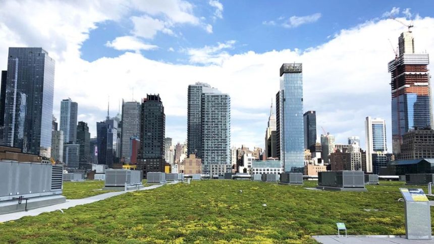 Surprising 7 Best Environmentally Friendly Green Buildings in NYC