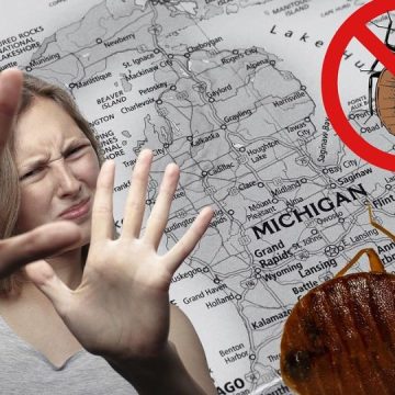 Bed bugs are crawling all over 3 Michigan cities more fast