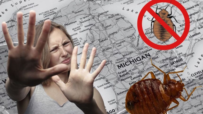 Bed bugs are crawling all over 3 Michigan cities more fast