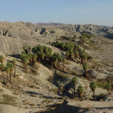 Colorado Desert Area Becomes the Most Dangerous Desert in Entire State