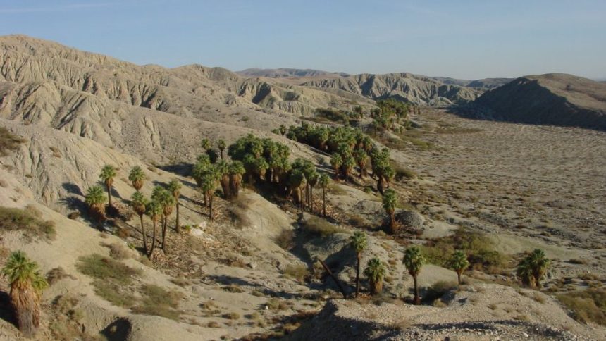 Colorado Desert Area Becomes the Most Dangerous Desert in Entire State