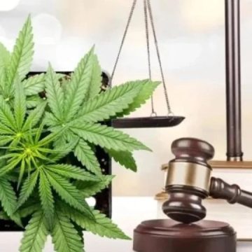 GOP Gov. Abbott Sides With AG Paxton On Texas Weed Decriminalization