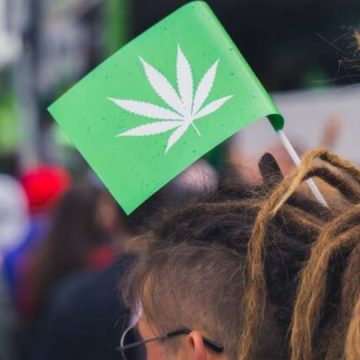 NYC Legal Weed Rights and Laws in 2024 You Must Need to Know