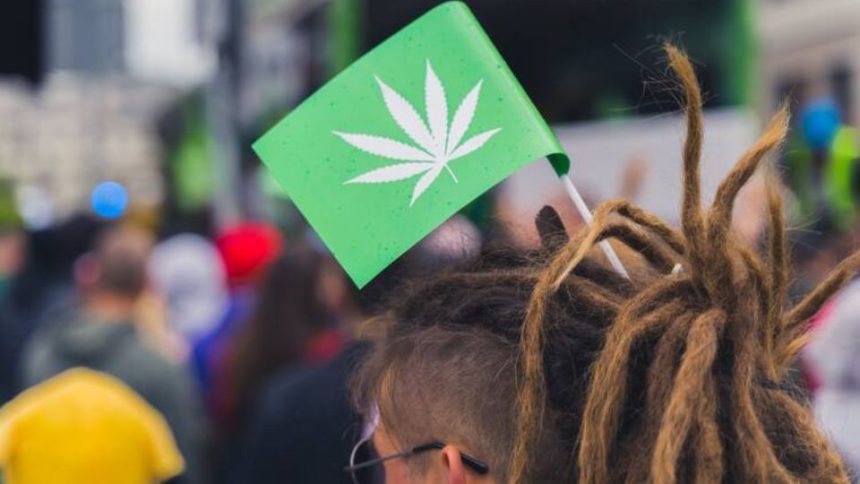 NYC Legal Weed Rights and Laws in 2024 You Must Need to Know