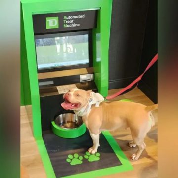 TD Bank discloses ATM for dogs at South Philly location