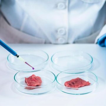 Alabama Follows Desantis' Lead and Bans Lab-grown Meat