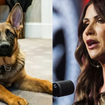 Gov. Kristi Noem Said Biden's Dog Should to Be Shot as Well