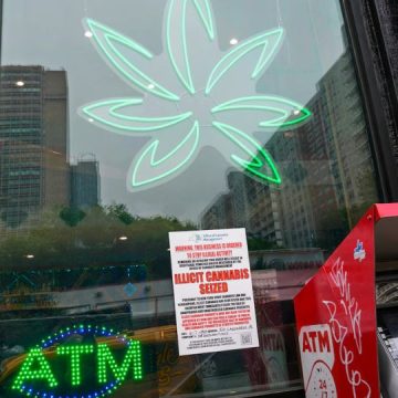 Rochester Firm Trapped in Limbo as New York Revamps Cannabis Licencing Agency