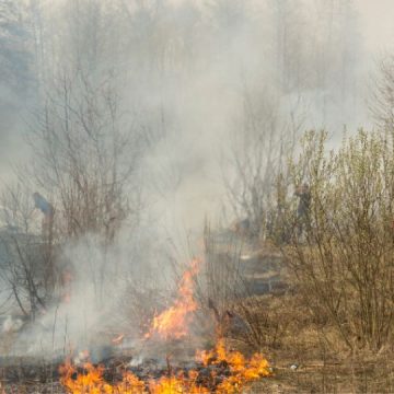 Four Steps to Protect Your Farm or Ranch for the PNW Wildfire Season