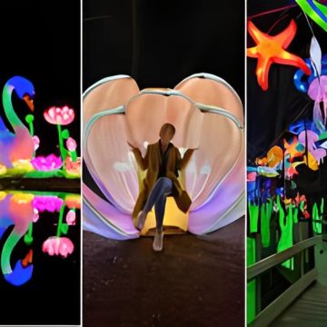 John Ball Zoo's Lantern Festival Finishes with More People Attending than Ever Before