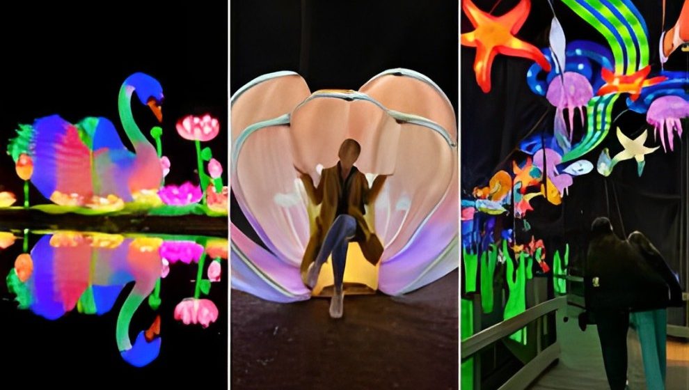 John Ball Zoo's Lantern Festival Finishes with More People Attending than Ever Before