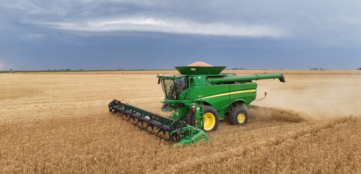 Kansas Farmers Hurry to Harvest Wheat Before Storms Arrive
