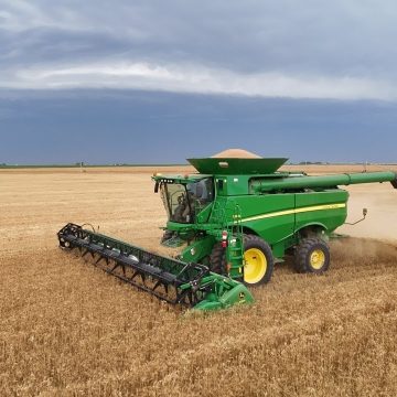 Kansas Farmers Hurry to Harvest Wheat Before Storms Arrive