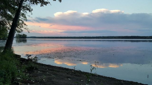 Beware Top 5 Snake-Infested Lakes in Ohio You Should Avoid 