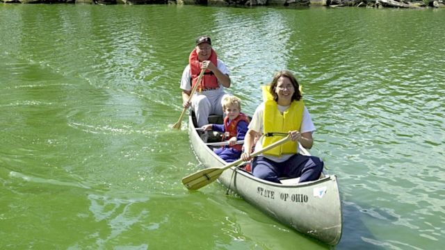 Beware: Top 5 Snake-Infested Lakes in Ohio You Should Avoid