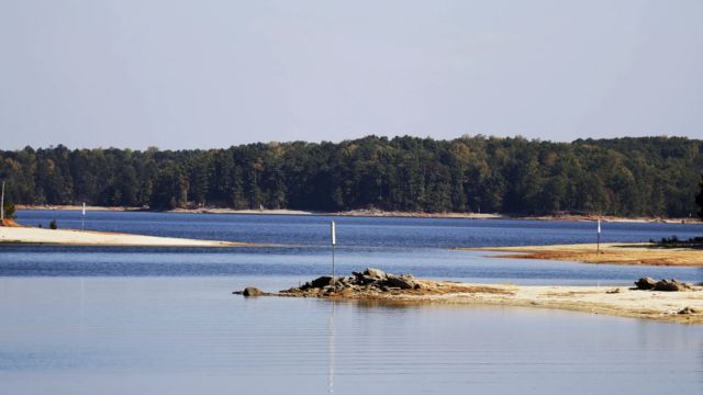 Dangerous Waters: Georgia’s Lakes with the Most Snakes