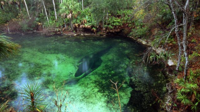 Discover the 5 Most Breathtaking Natural Wonders in Florida