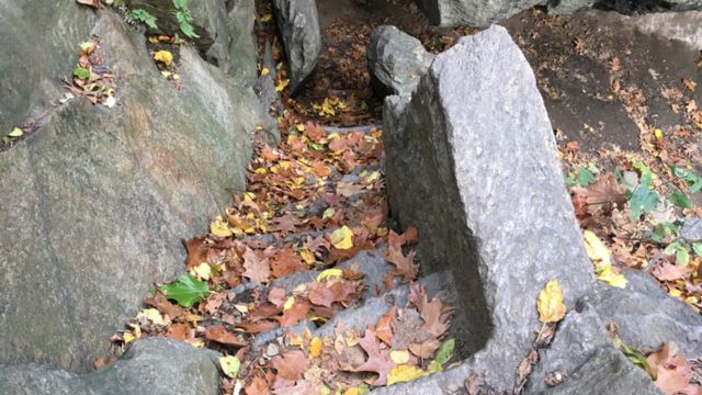 Hidden Treasures: 7 Hidden Secrets of Central Park, Manhattan