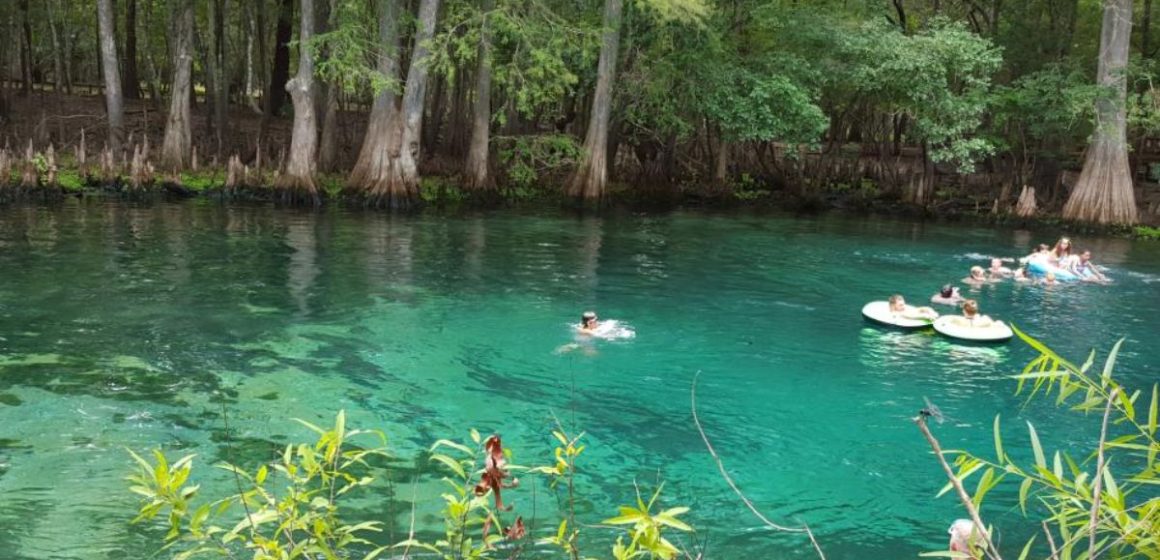 Discover the 5 Most Breathtaking Natural Wonders in Florida