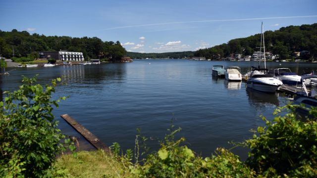 Slither Alert: The Most Snake-Infested Lakes in New Jersey