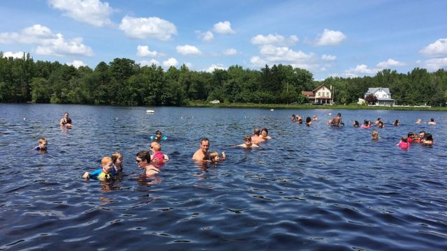 Slither Alert The Most Snake-Infested Lakes in New Jersey 