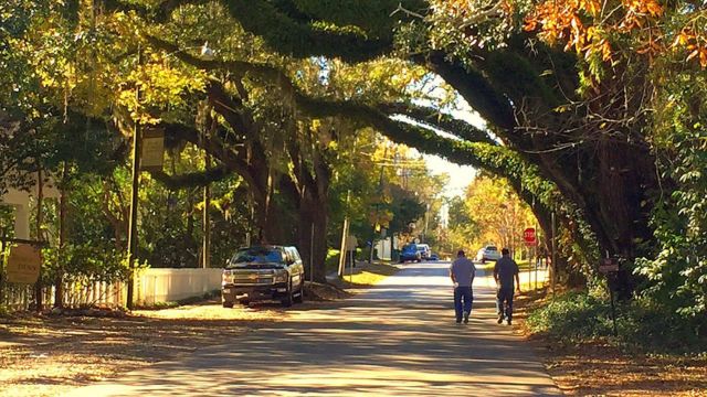 Step Into Charm: 5 Louisiana Towns Where Walking is a Joy