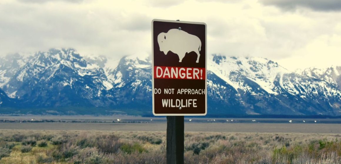 The Hidden Risk in National Parks A Life-Threatening Trend Revealed