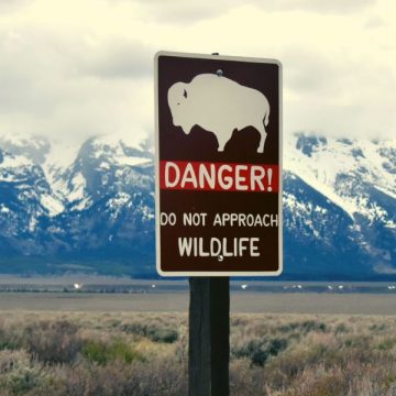 The Hidden Risk in National Parks A Life-Threatening Trend Revealed