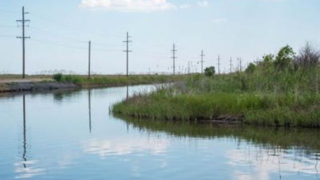 The Top Snake-Infested Lakes in Louisiana: Where to Watch Out