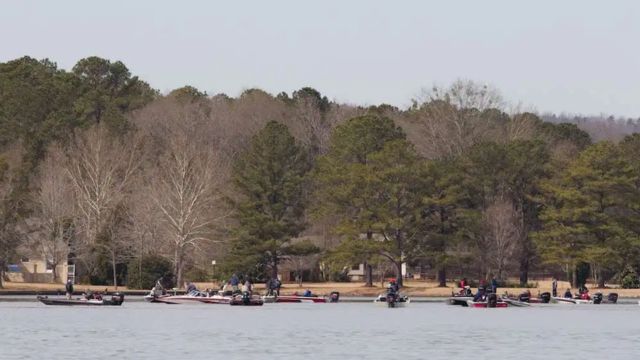 Top Snake-Infested Lakes in Alabama: Where to Watch Out for Snakes