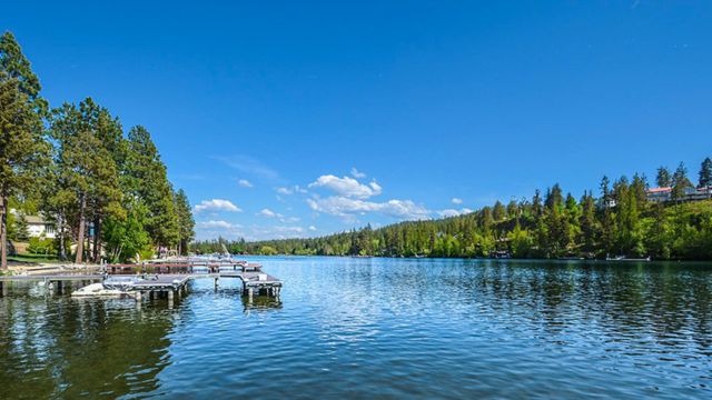 Top Snake-Infested Lakes in Virginia You Should Know About