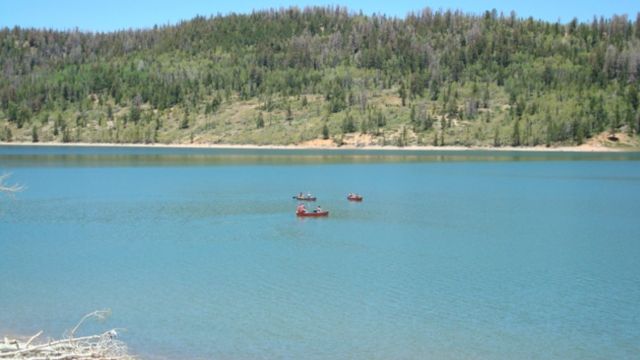 Utah's Snake Hotspots The 5 Lakes with the Most Snakes 