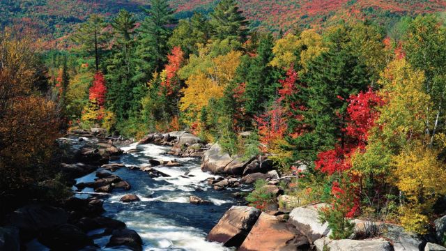 Where to Retire in Maine: 5 Top Picks for a Peaceful Life