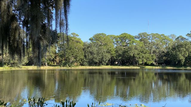 Beware! The Most Snake-Infested Lakes Across the U.S.