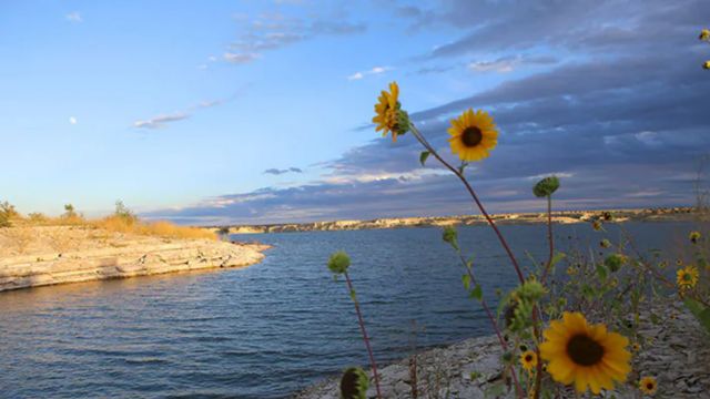 Dangerous Depths: Colorado Lakes You’ll Want to Avoid for Snakes