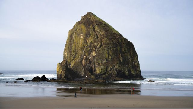 Discover the Epic Tide Pools of the Oregon Coast: A Drive Worth Taking