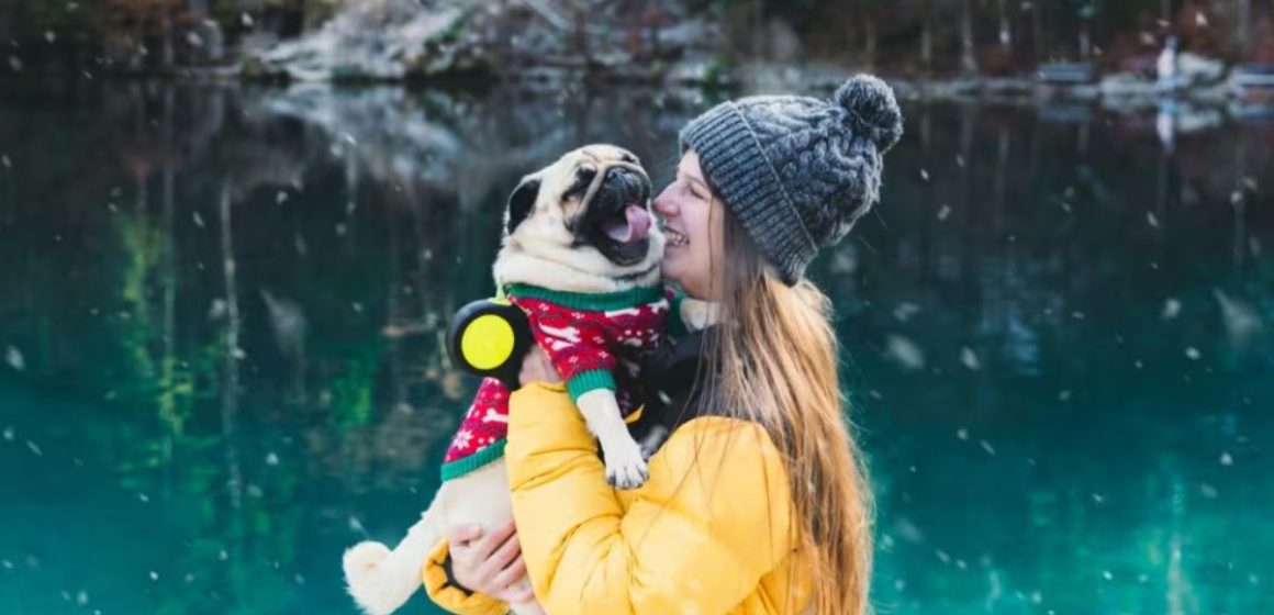 Dog's Dream Vacations Trips Your Pup Will Thank You For