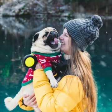 Dog's Dream Vacations Trips Your Pup Will Thank You For