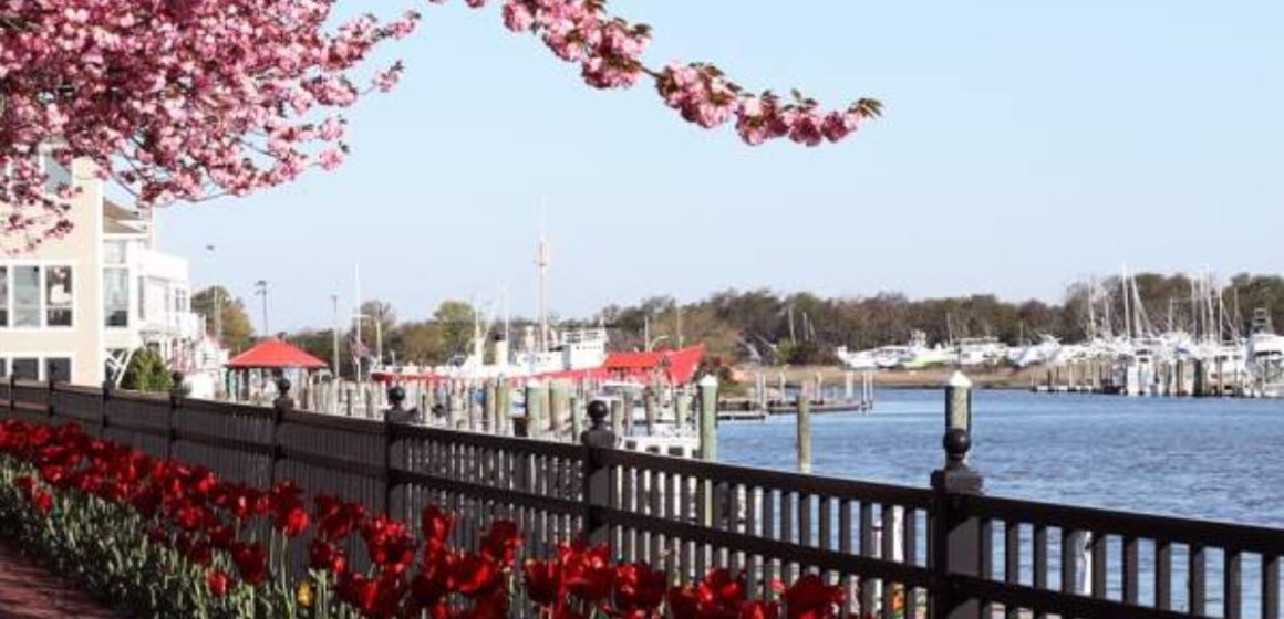 Escape the Crowds Underrated Delaware Towns You’ll Love