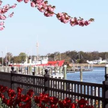 Escape the Crowds Underrated Delaware Towns You’ll Love