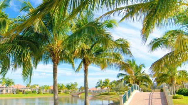 Find Your Peace: The Best Small Florida Towns to Chill Out in 2024