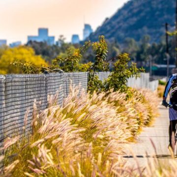 Bike Lovers' Guide to California: The Most Bike-Friendly Towns